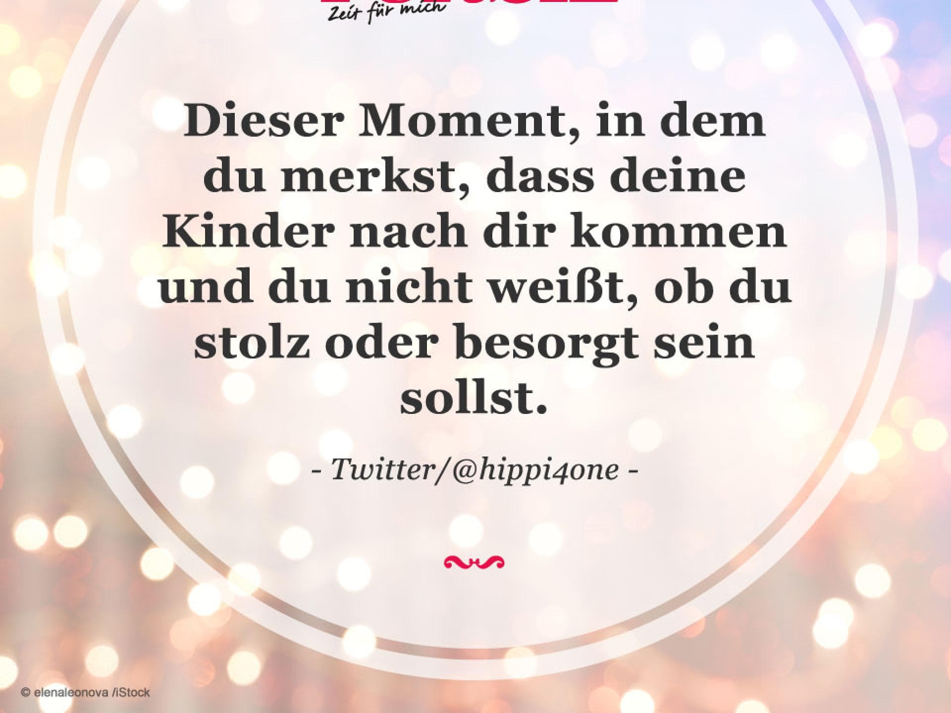 Spruch des Tages