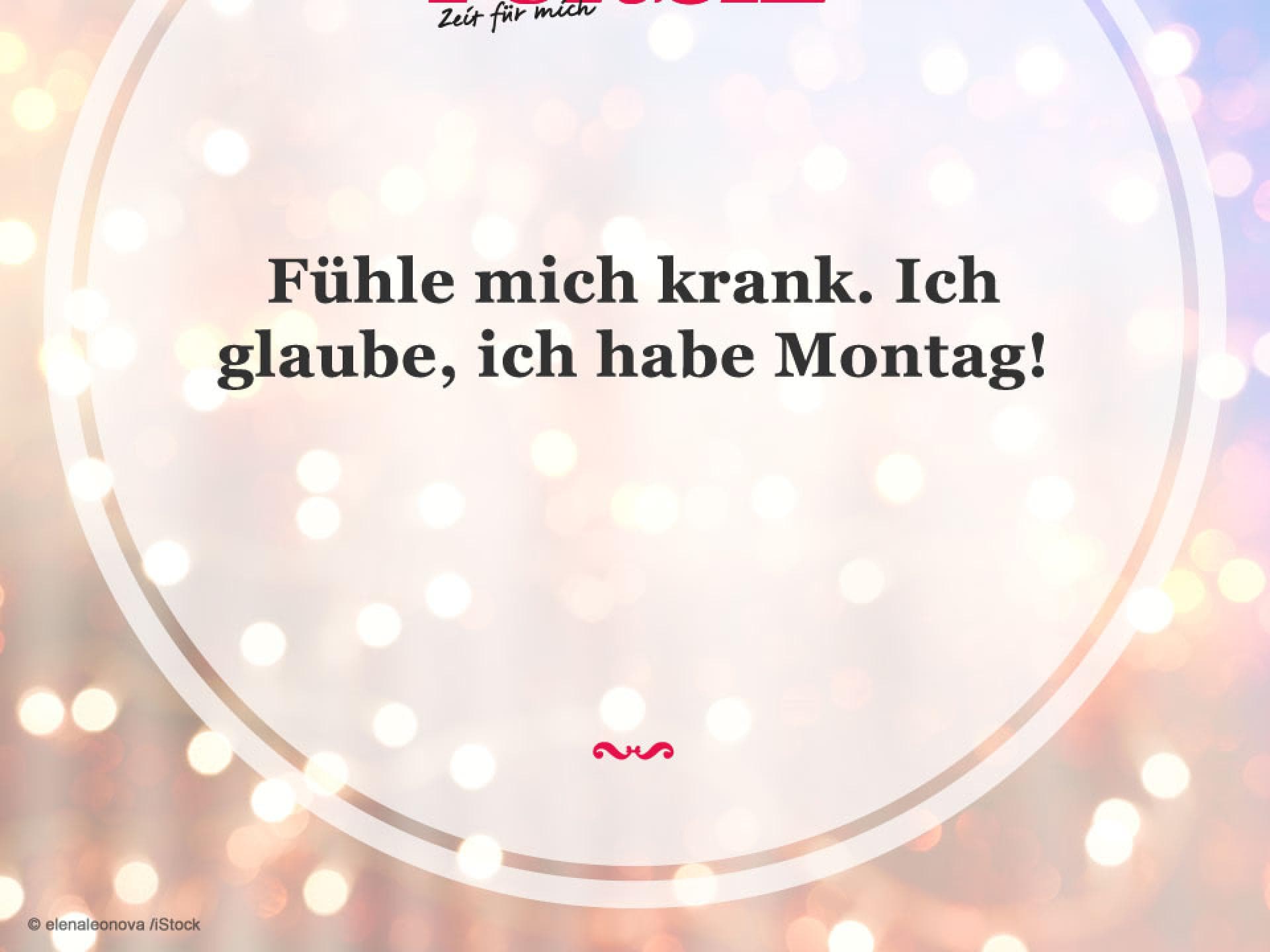 Spruch des Tages