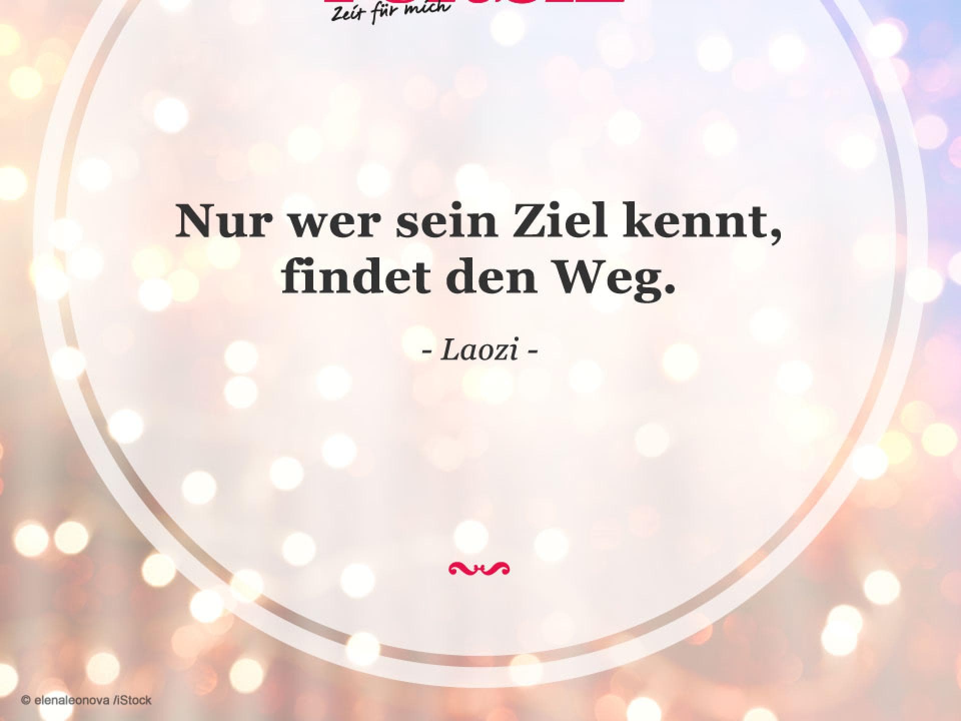 Spruch des Tages