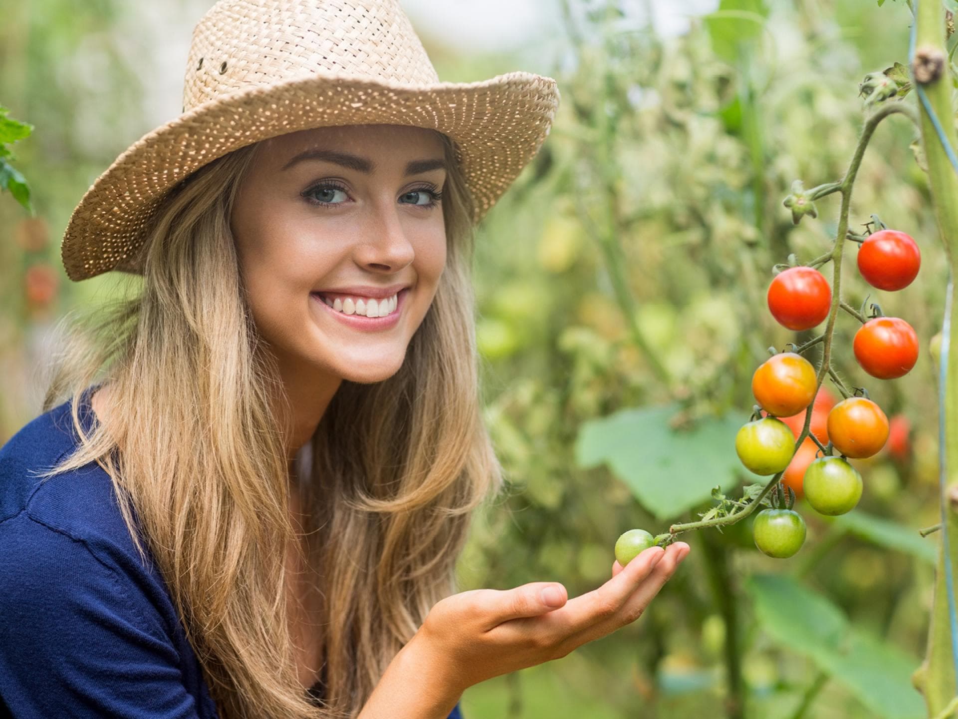 Gärtnerin mit Tomatenpflanze