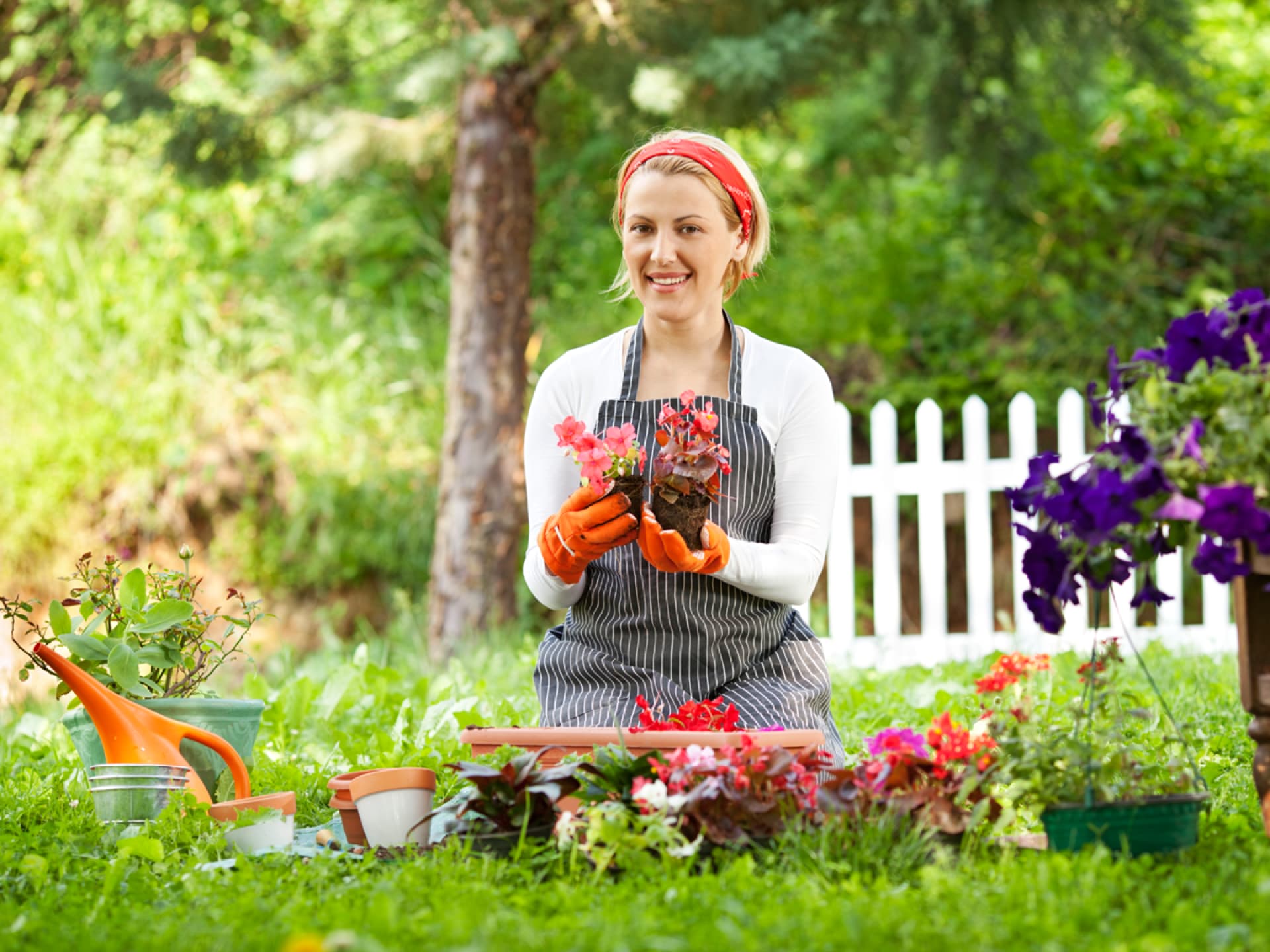 Frau mit Gärtnerschürze beim Pflanzen im Garten