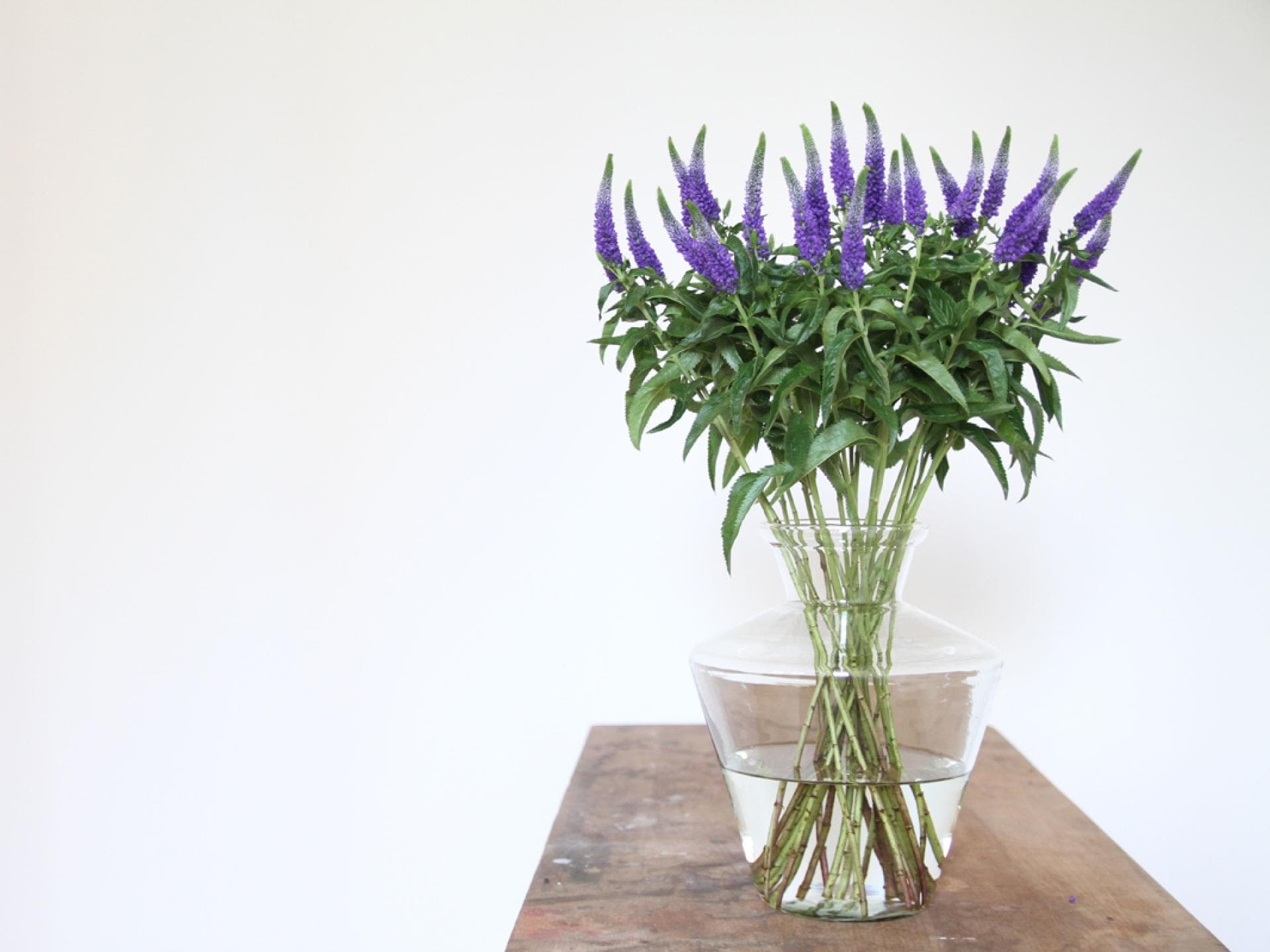 Veronica Vase