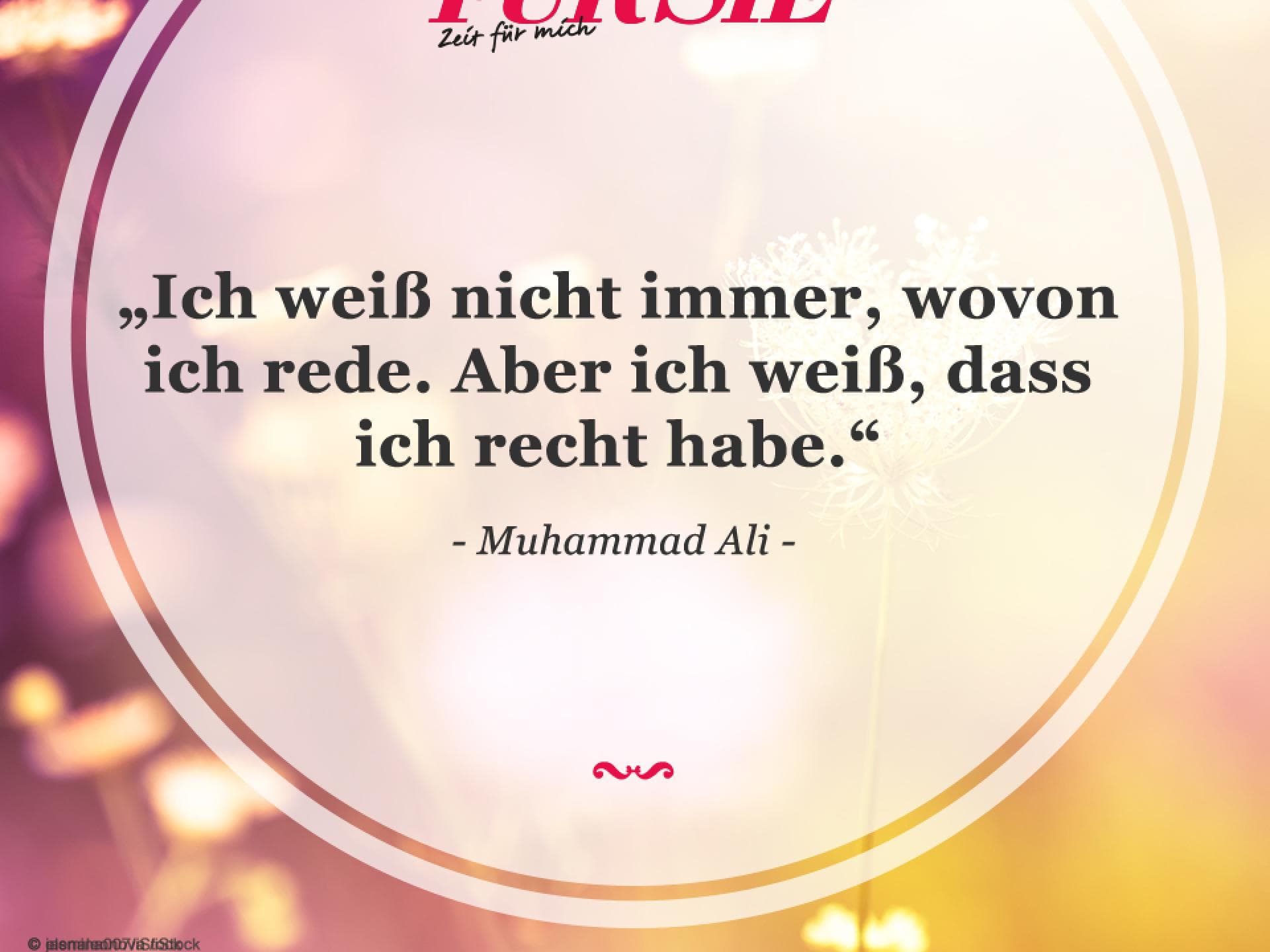 Spruch des Tages