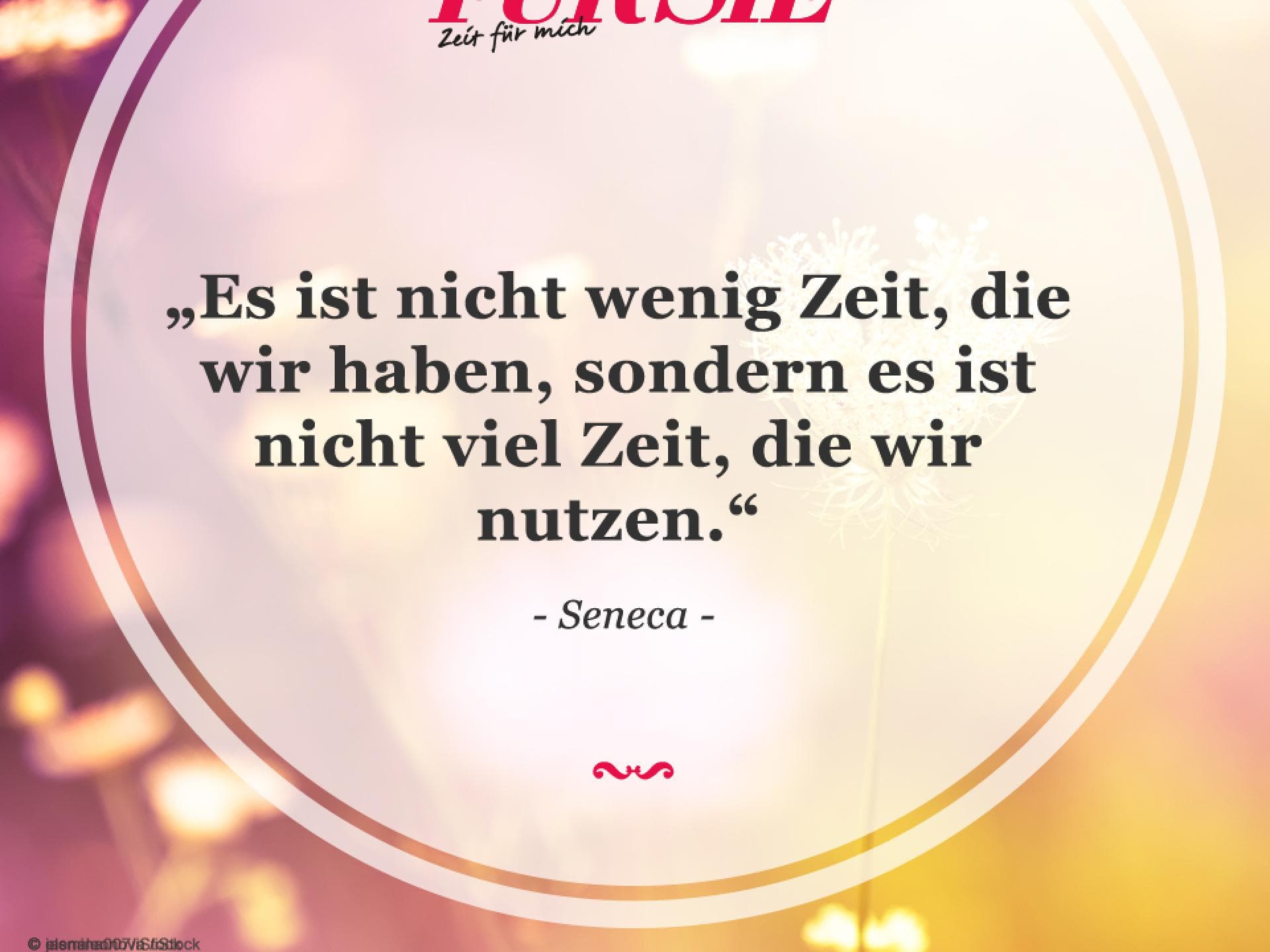 Spruch des Tages
