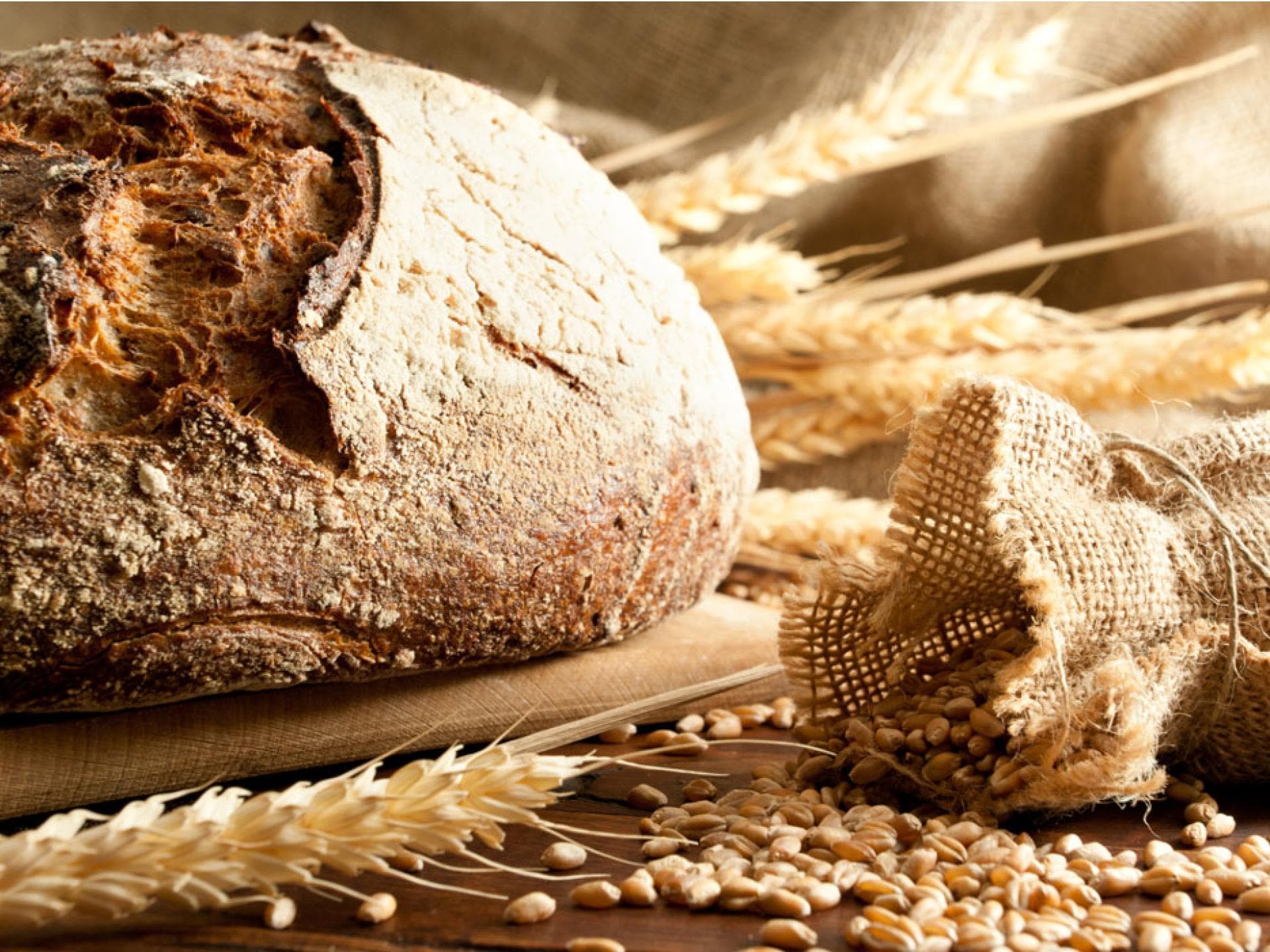 Wissenswertes über Brot