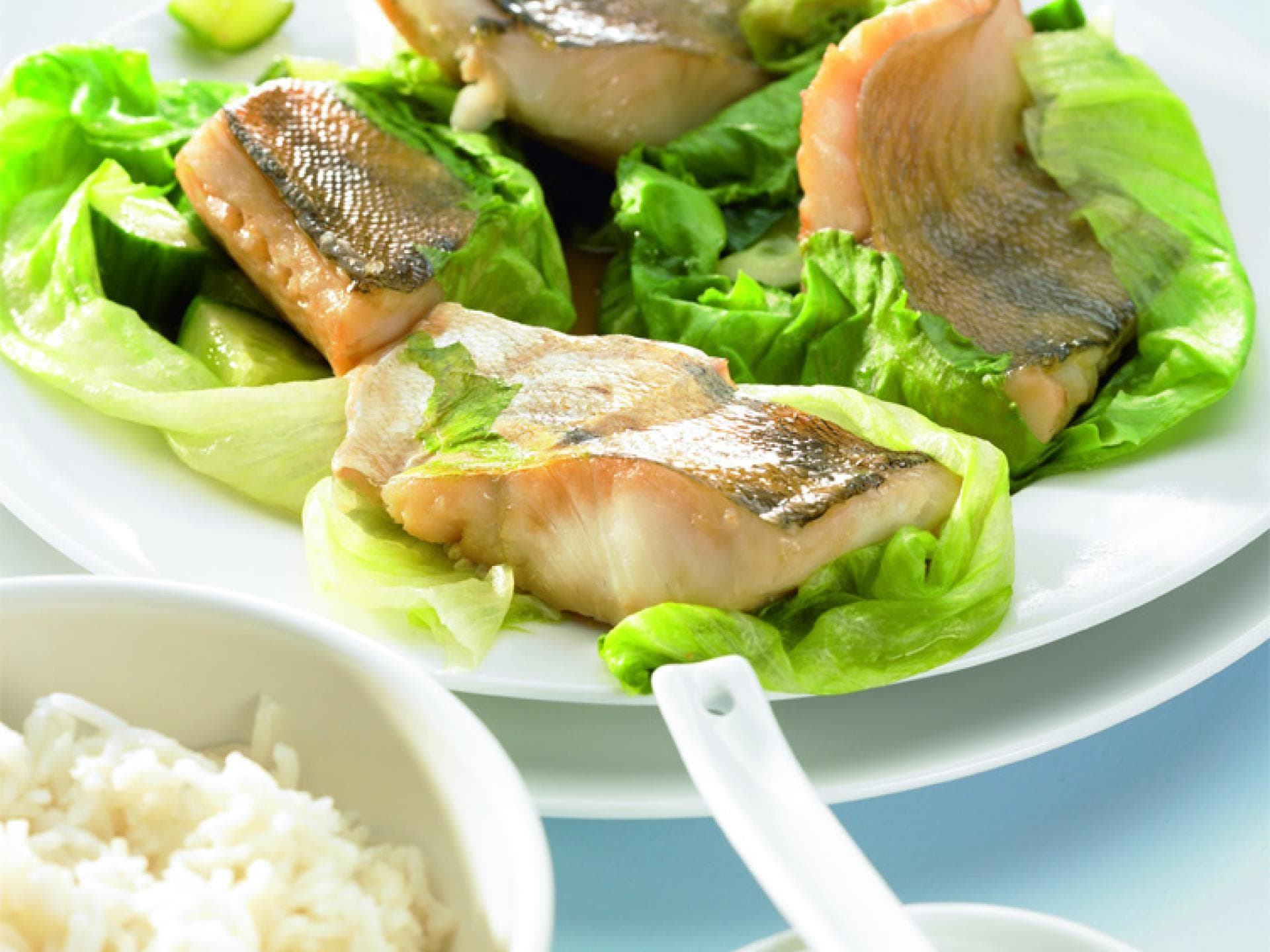 Zanderfilet - So kochen Sie das perfekte Zanderfilet-Rezept mit Salatblatt und Feta-Zitronensauce
