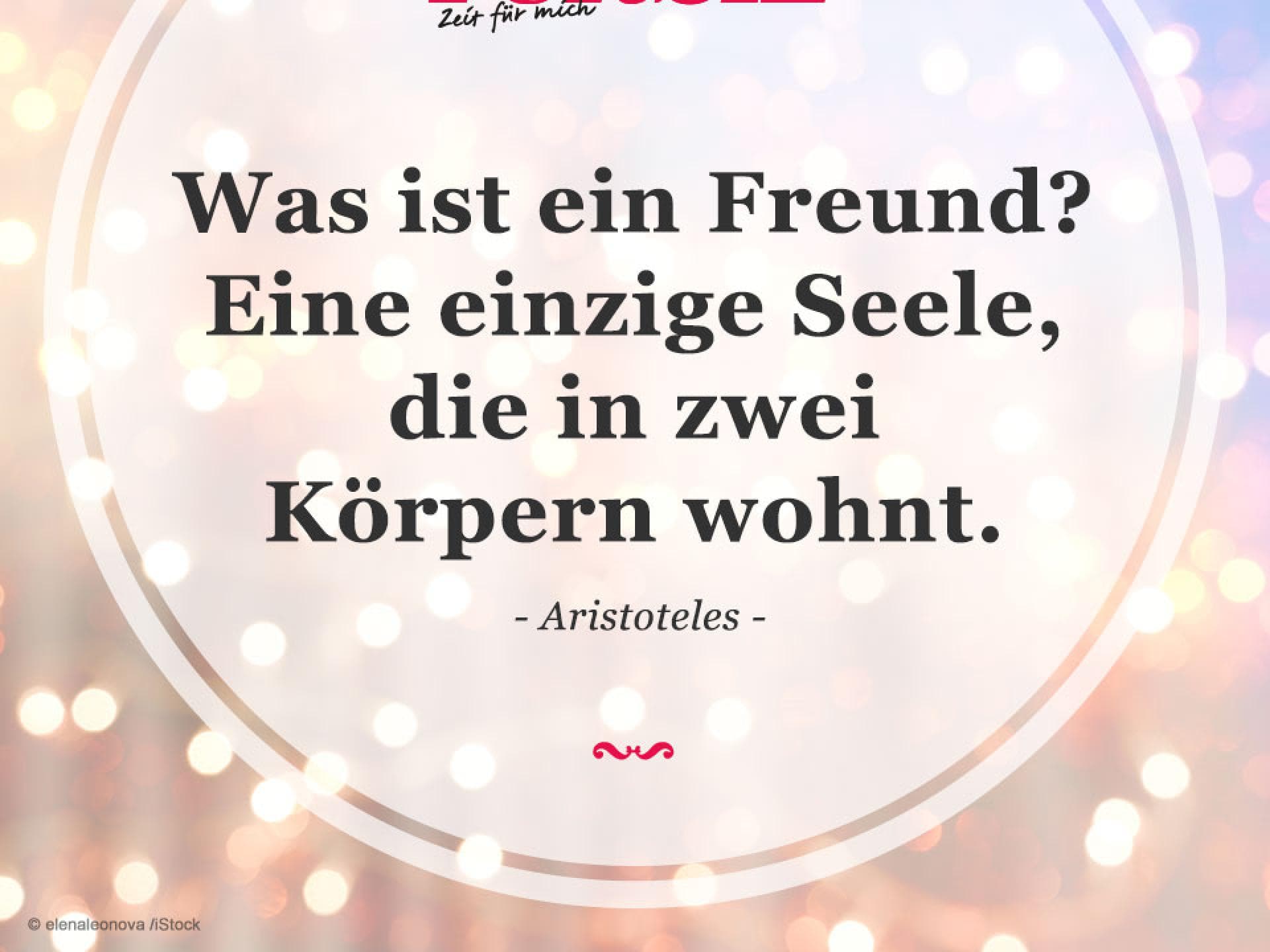 Zitat von Aristoteles