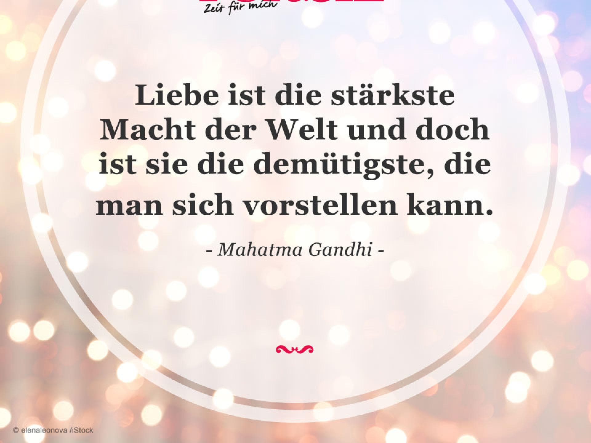 Spruch des Tages