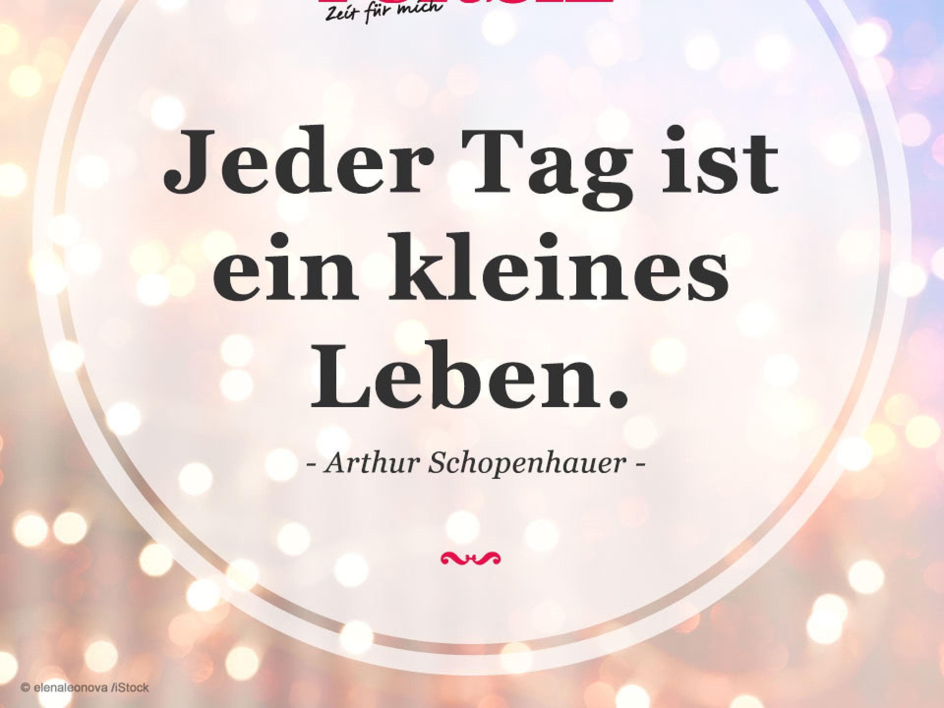 Zitat Arthur Schopenhauer