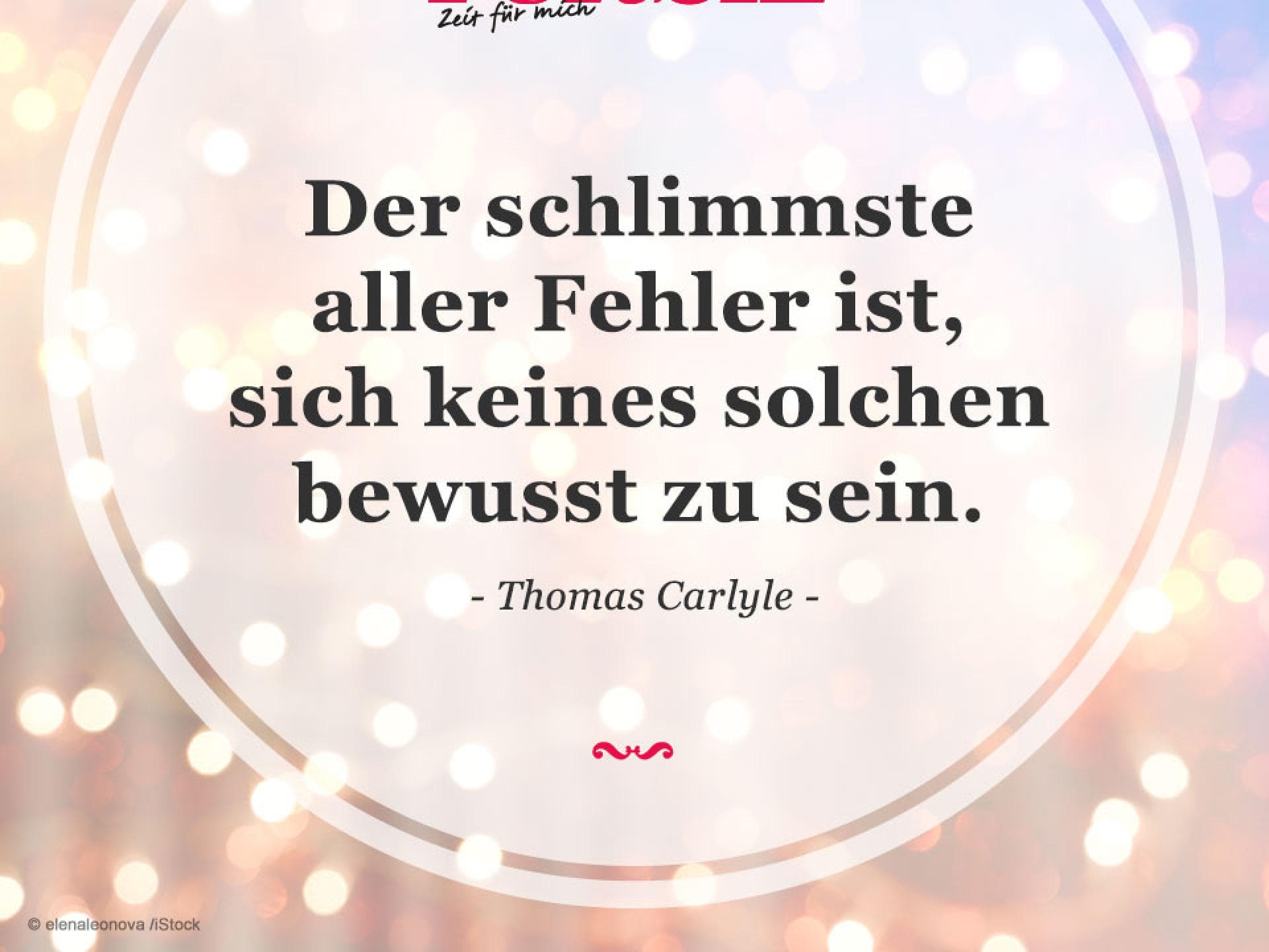 Spruch des Tages