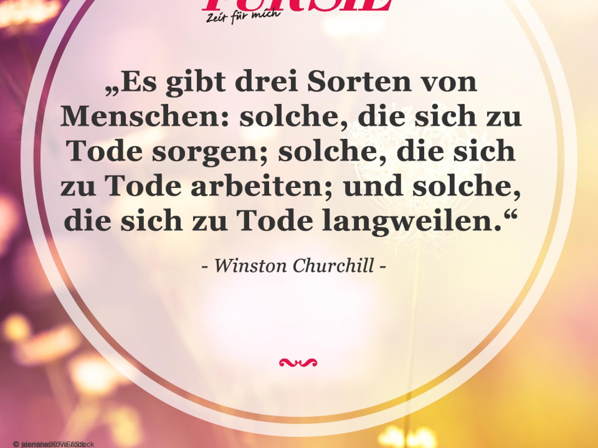 Spruch des Tages