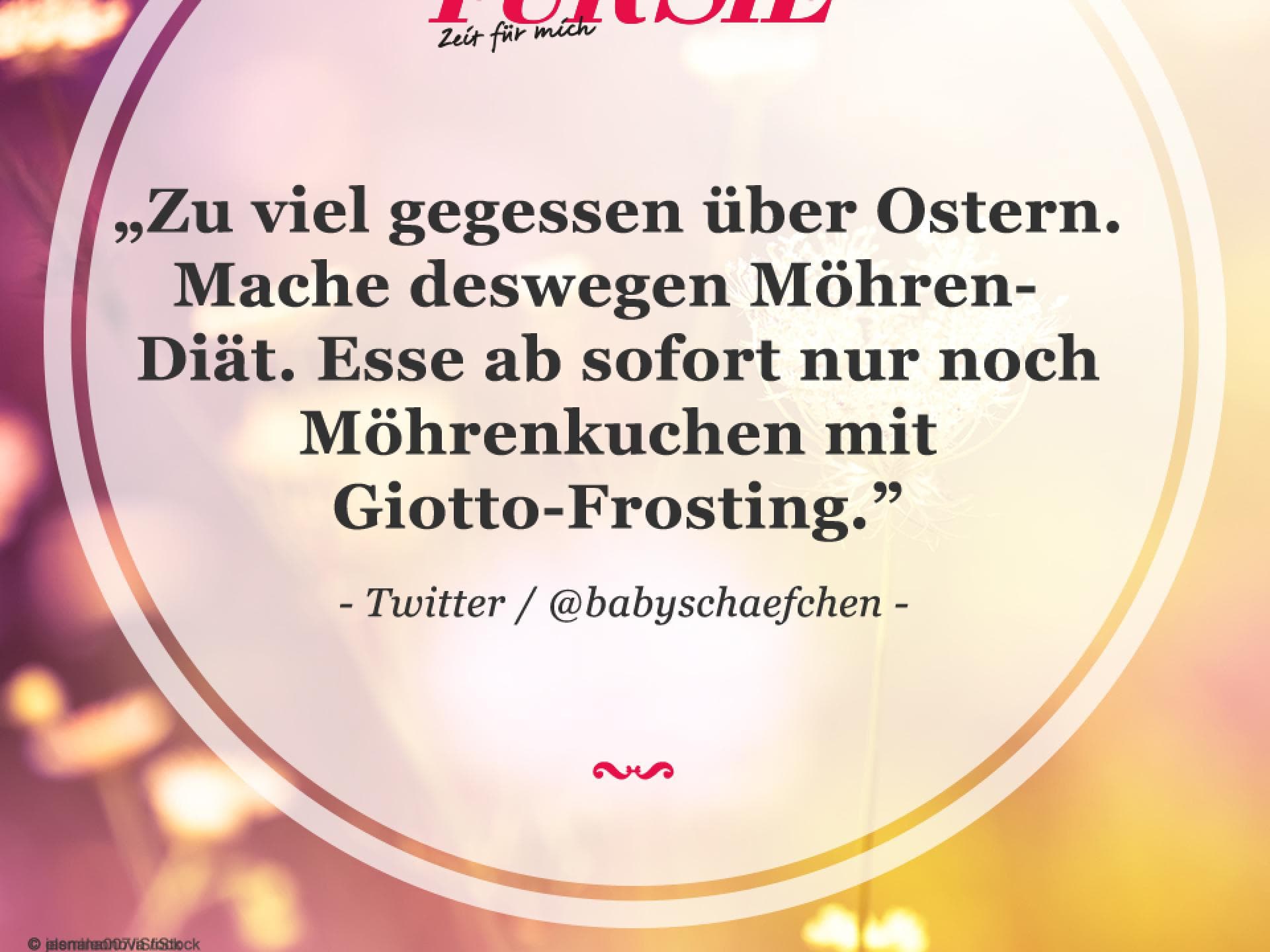 Spruch des Tages