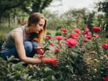 Frau im Garten schneidet Rosen