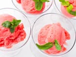 Rhabarber Granita Sorbet