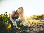 Frau Gartenarbeit