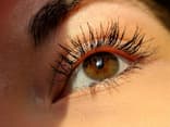 Lange und volle Wimpern Lange und volle Wimpern