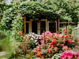 Allergikerfreundlicher Garten 