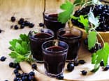 Saft aus Schwarzer Johannisbeere Saft aus Schwarzer Johannisbeere