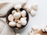 Champignons