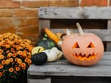 Kürbis für Halloween 