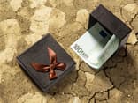 Geld in einer Box 