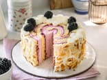 Brombeer-Wickeltorte 