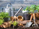 Günstige Tipps zum Gärtnern 