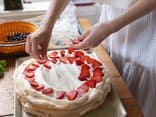 Sommertorten backen 