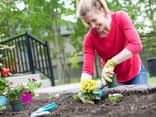 Frau mit Gartenhandschuhen pflanzt Blumen in ein Beet