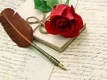 Rose und Feder auf Schrift