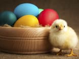 Ostern - Hier finden Sie unsere schönsten Gedichte und Sprüche für Ostern
