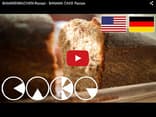 video-bananenkuchen.jpg