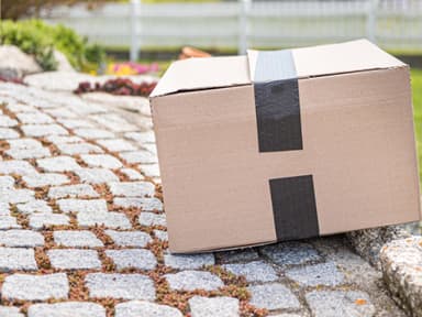 Unkraut bekämpfen Pappe im Beet für besseren Boden