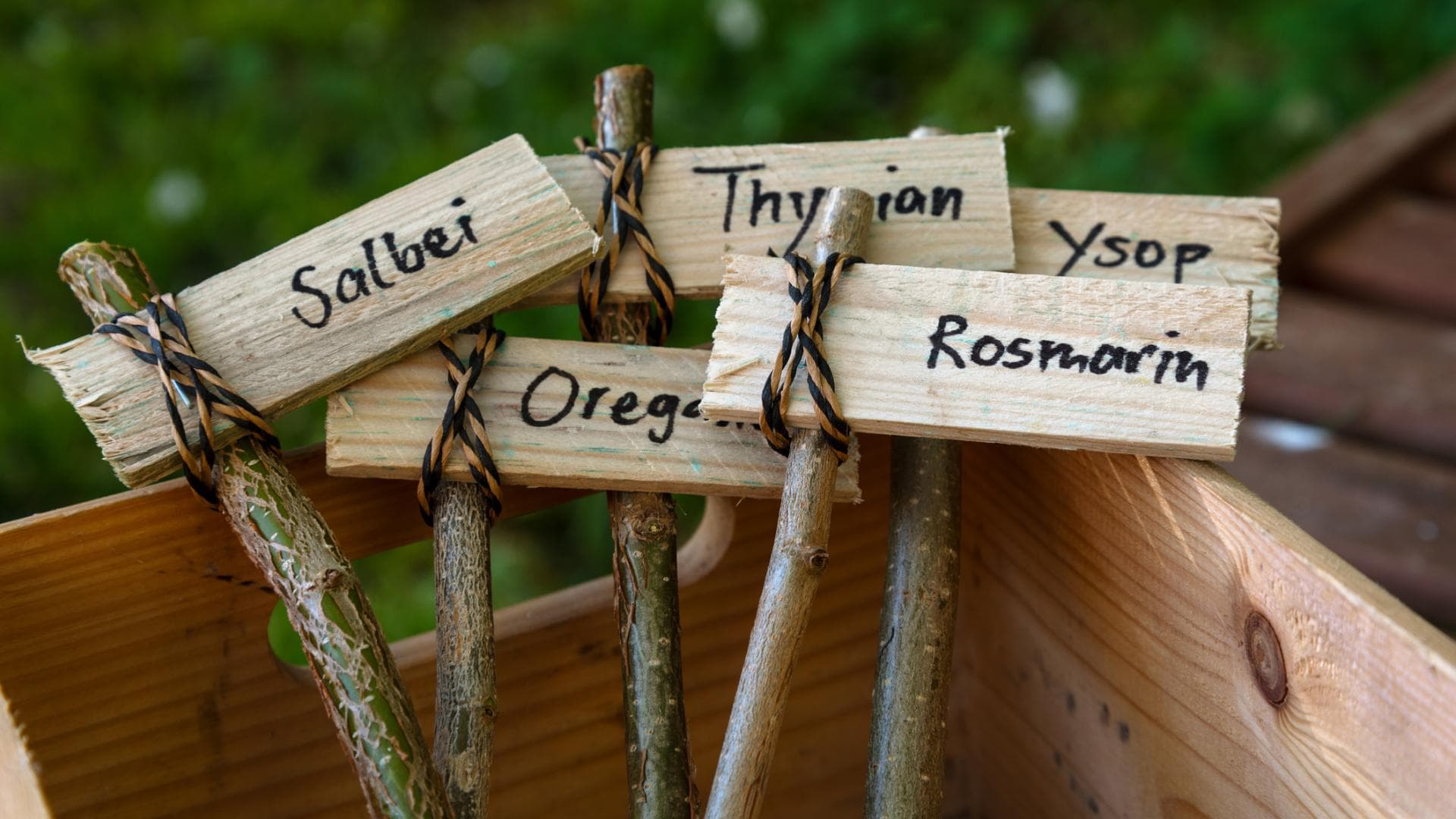 Pflanzenschilder aus Holz: 4 kreative Ideen