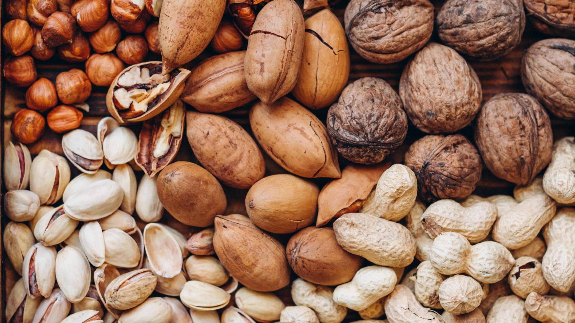 Wäsche waschen: Darum sollten Sie Nüsse in die Waschmaschine geben