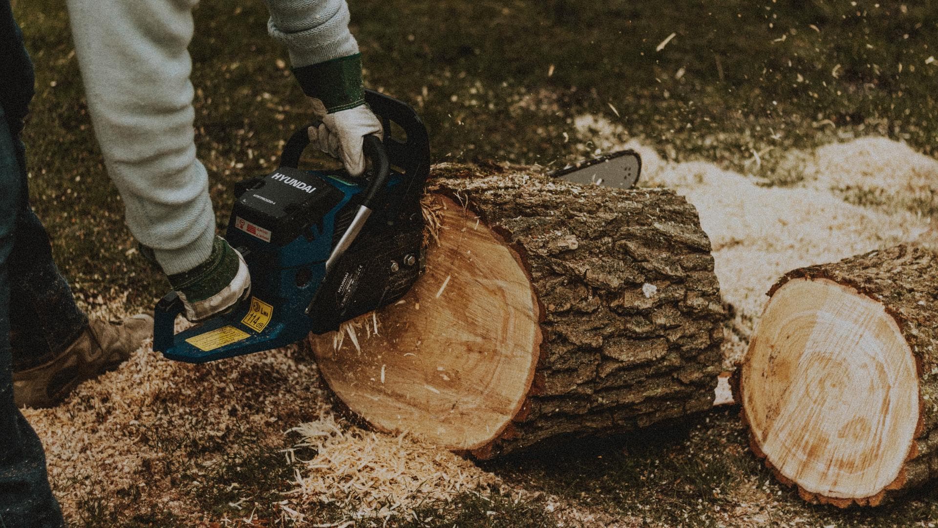 Brennholz selber machen Die 5 besten Kettensägen