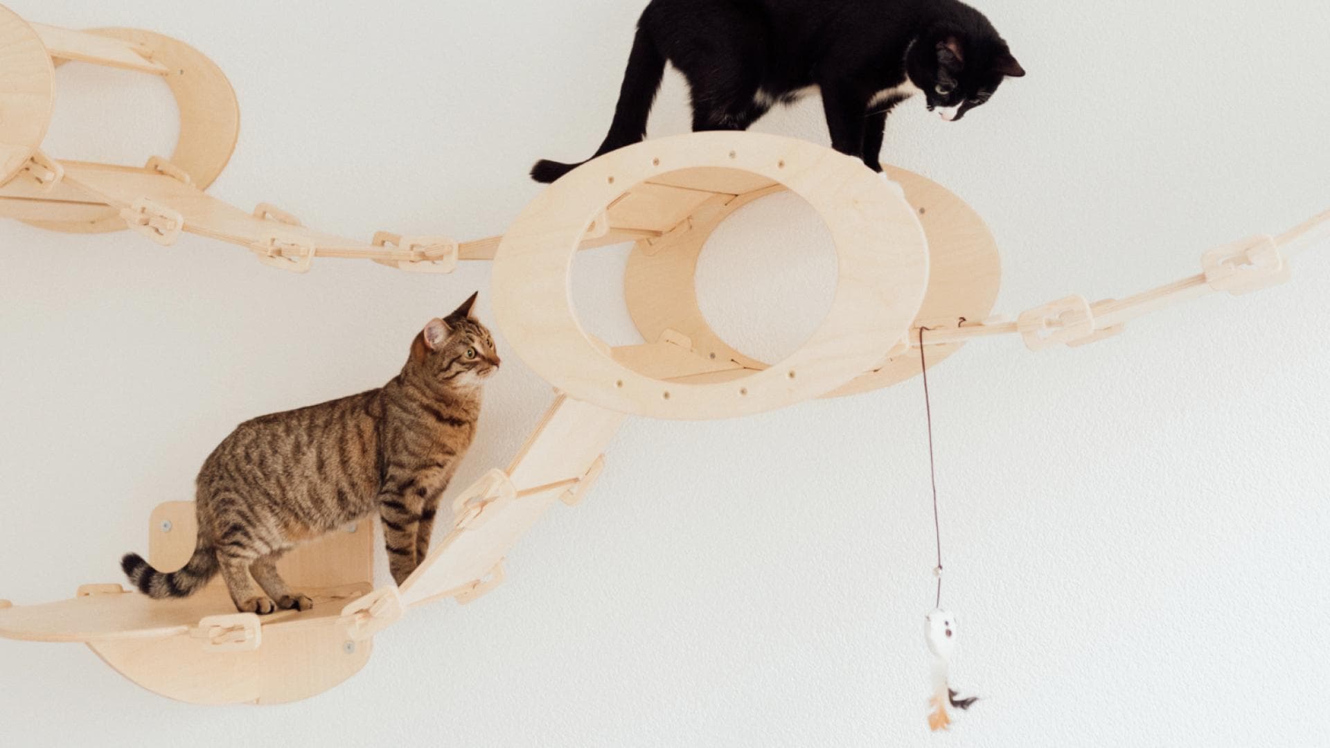 Ikea Katzen Hacks