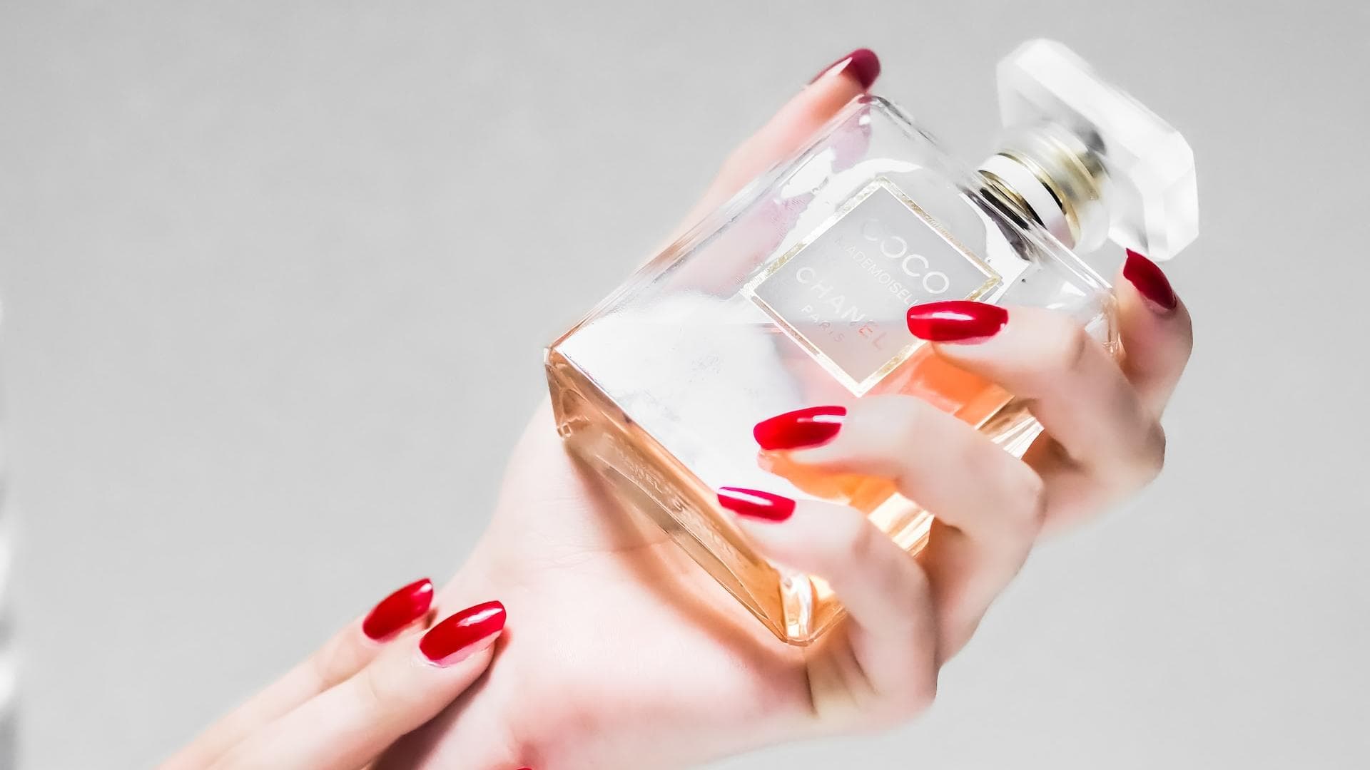 Parfum-Trends 2024: Diese Düfte haben uns besonders überrascht