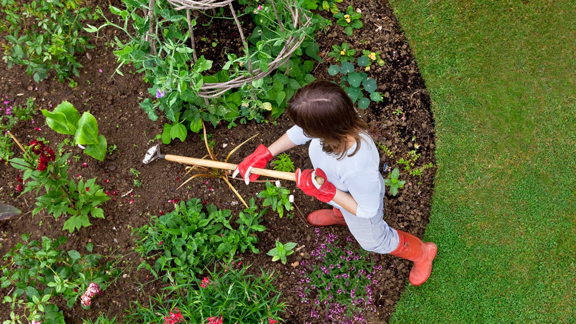 Alternativen Zu Unkrautvernichter Unsere Tipps