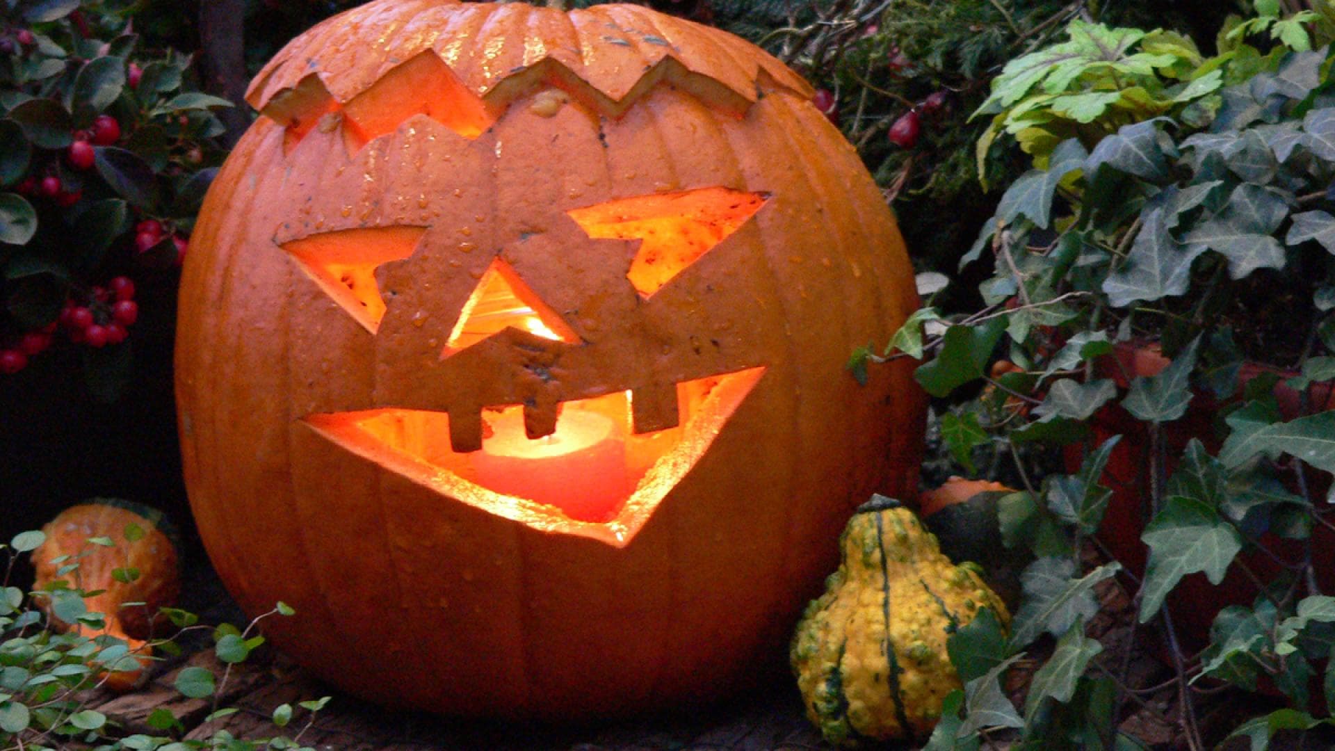 Halloween-Deko - Ideen für gruselige Dekorationen