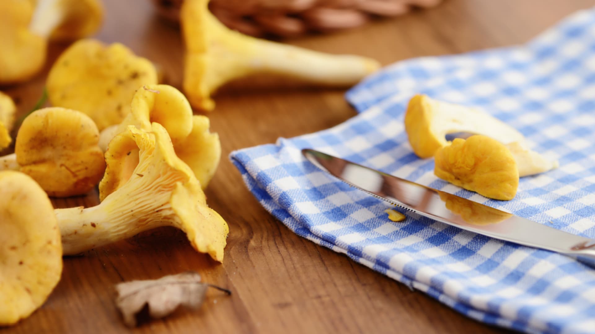 Pilze Richtig Putzen Anleitung Und Tipps