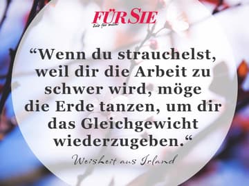 Get Schoene sprueche spruch des tages arbeit For Android Free Schoene Sprueche Spruch Des Tages Arbeit