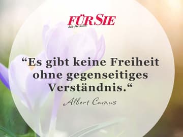 Spruch Des Tages Fur Den Juli