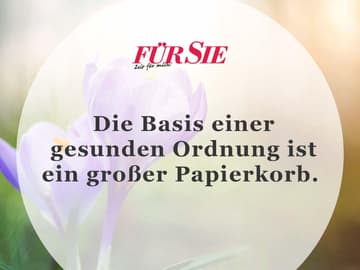 Spruch Des Tages Fur Den Juli