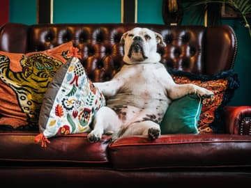 Flecken Aus Sofa Entfernen Tipps Fur Jedes Material