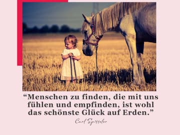 Spruch Des Tages