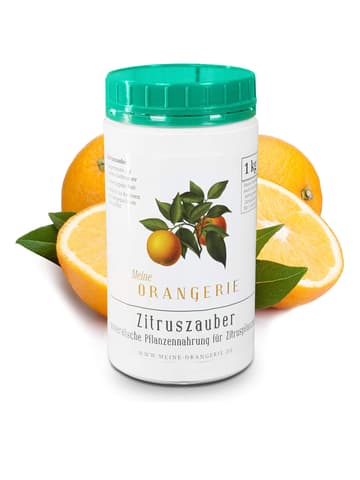 Zitronen auf dem Balkon pflanzen: Das müssen Sie beachten